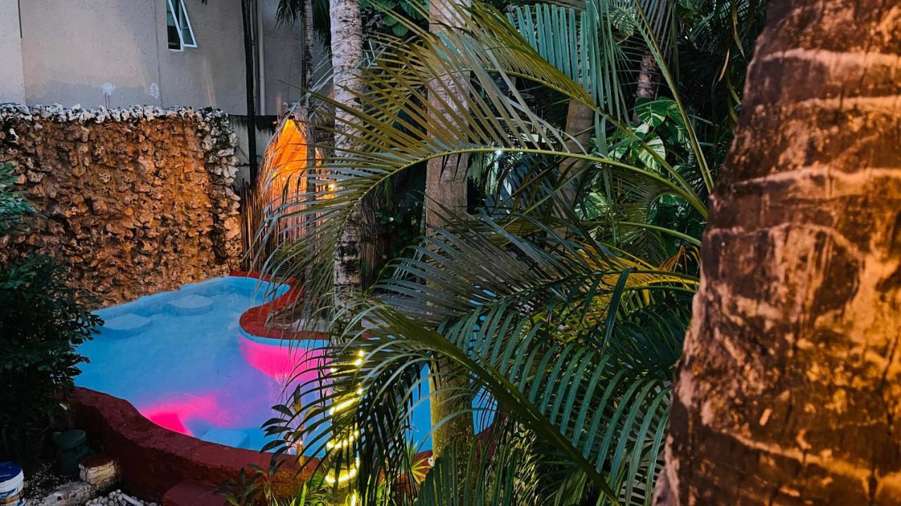 Hotel B&B - 5Th Avenue Playa del Carmen Luaran gambar The pool at the 2019 edition of the festival